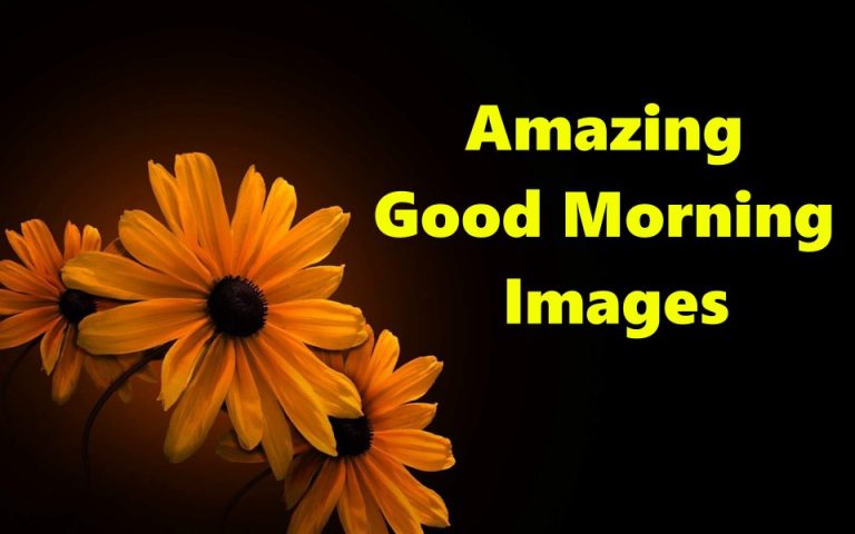 45 Amazing Good Morning Images With Messages, And Pictures Words Of Encouragement Quotes