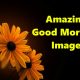 Amazing Good Morning Images With Messages And Pictures Words Of Encouragement Quotes