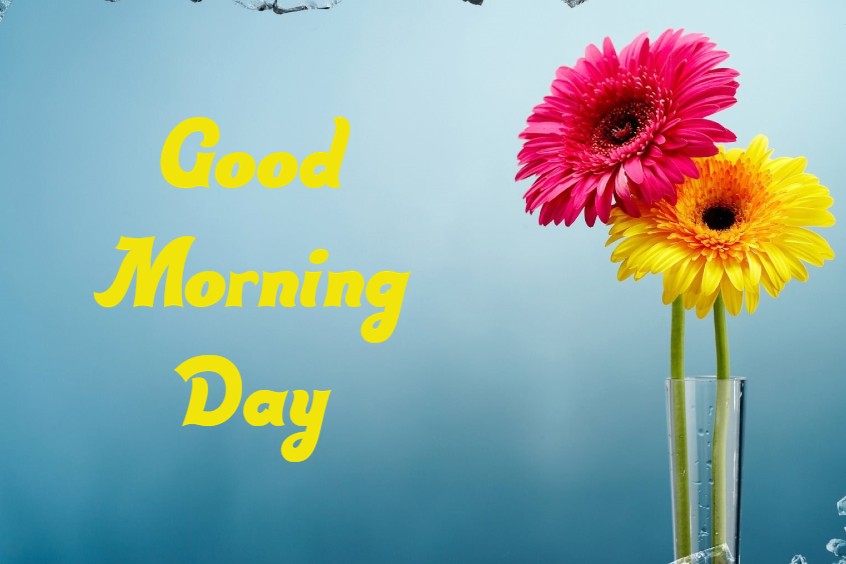 Good Morning Day Images With Pictures Quotes Wishes Messages