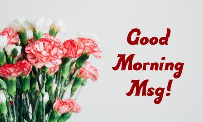 Good Morning Msg With Pictures Images And Morning Motivation Quotes