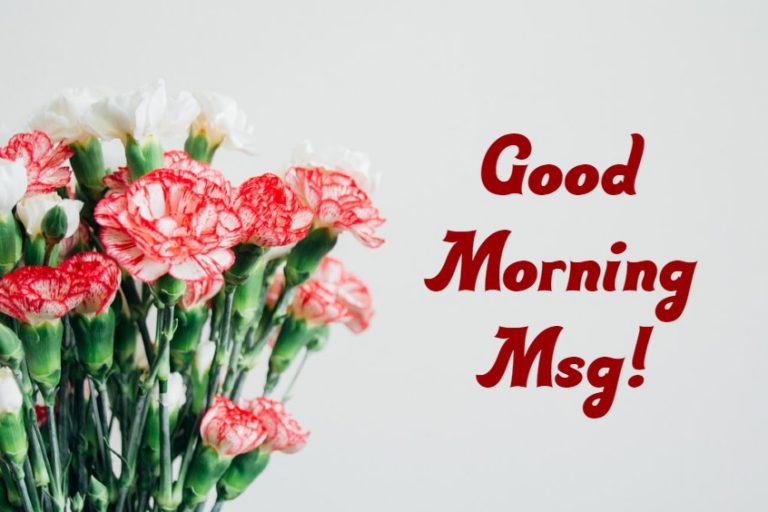 55 Good Morning Msg With Pictures, Images And Morning Motivation Quotes