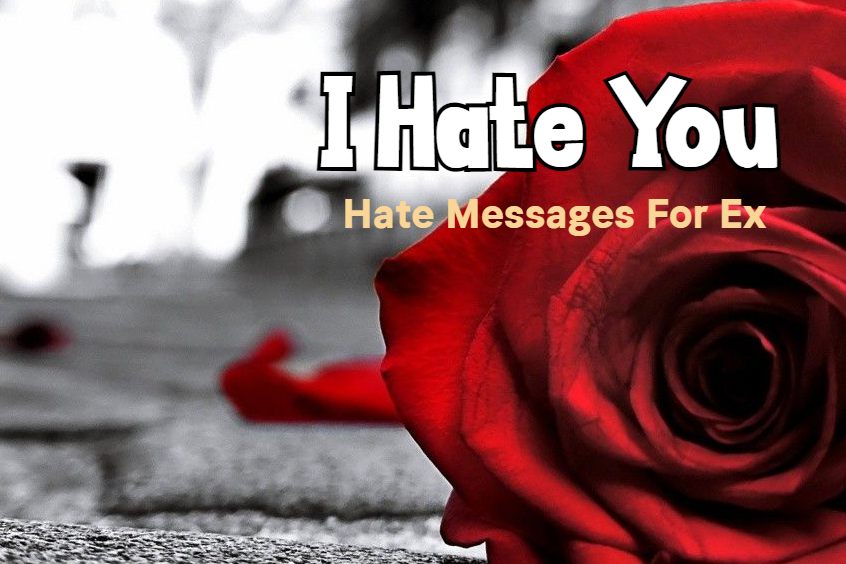 I Hate You Quotes for Ex Hate Emotional Messages