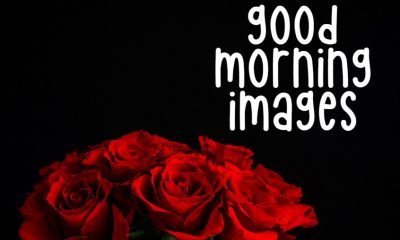 New Good Morning Images wishes with Pictures And beautiful Quotes