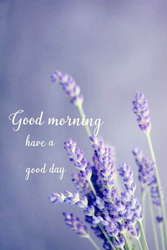 beautiful wednesday morning images New Good Morning Images wishes with Pictures And beautiful Quotes