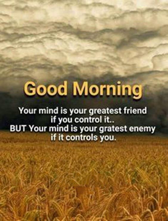 good morning positive vibes quotes Good Morning Day Images With Pictures Quotes Wishes Messages