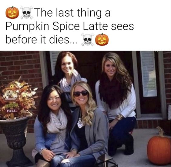 happy fall memes Funny Pumpkin Spice Memes Images And Quotes