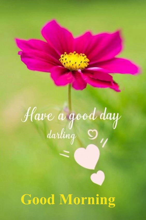 today greetings images New Good Morning Images wishes with Pictures And beautiful Quotes