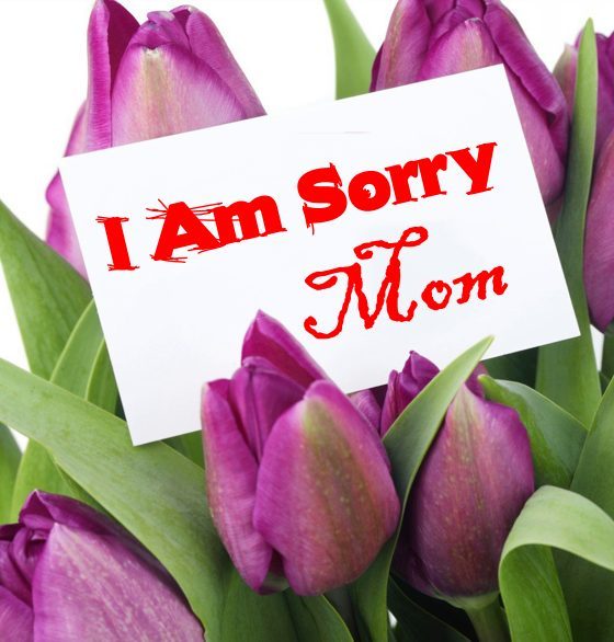 Im Sorry Mom Apology Messages For Her