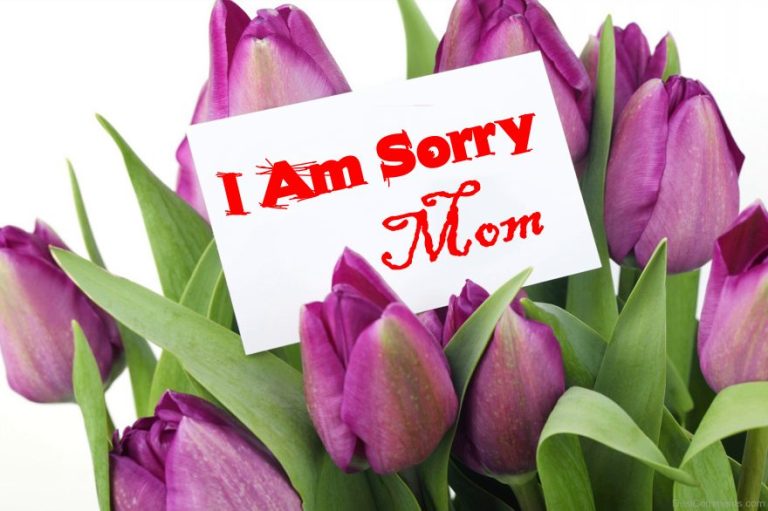 180 I’m Sorry Mom – Apology Messages For Her