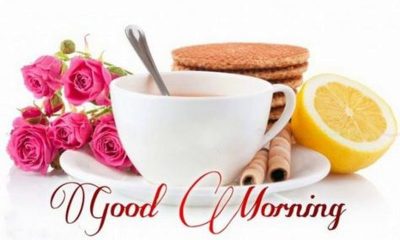 Beautiful Morning Pictures with Messages And Good Morning Images