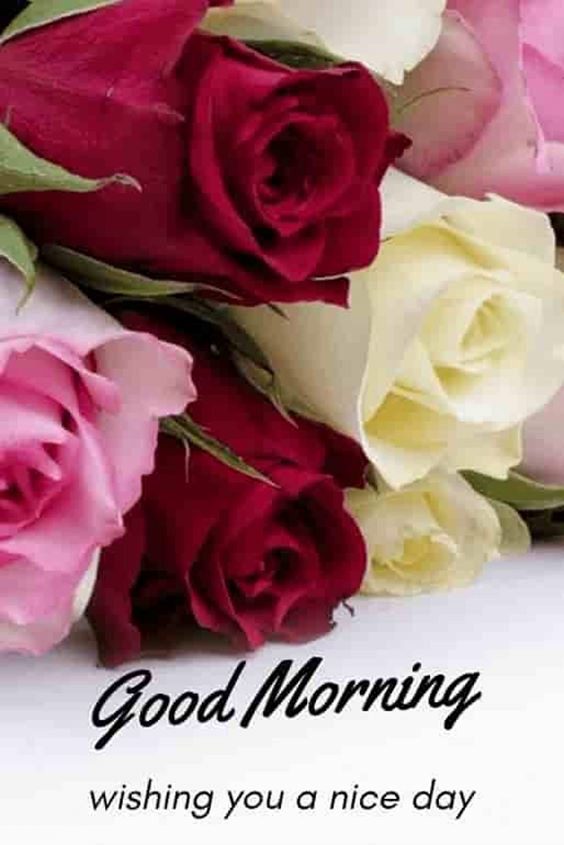 Beautiful Morning Pictures with Messages And Good Morning Images good morning images