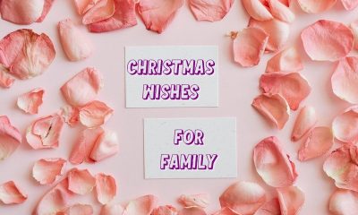 Belated Merry Christmas Wishes For Family Xmas Messages For Best Family