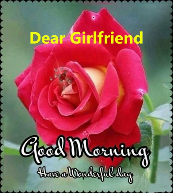 good morning messages for girlfriend | special good morning messages, good morning gorgeous quotes, good morning quotes for my love