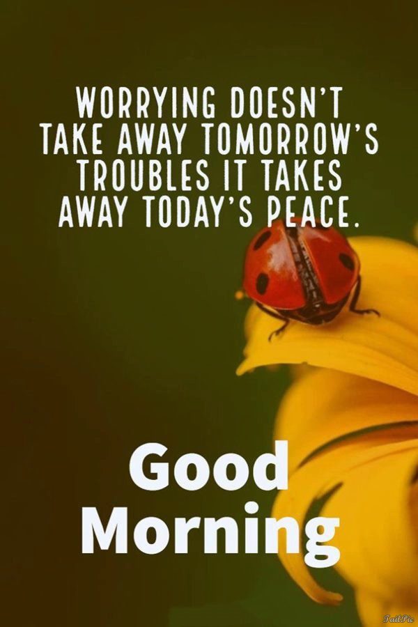 what is a wise saying good morning text messages - good morning wise quotes |  good morning with inspirational quotes wisdom about life
