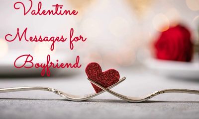 Valentines Messages for Boyfriend With Beautiful Images | deep love messages for him, couple valentines day quotes for him, my amazing boyfriend valentine messages for boyfriend long distance