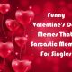 Funny Valentines Day Memes That Sarcastic Memes For Singles