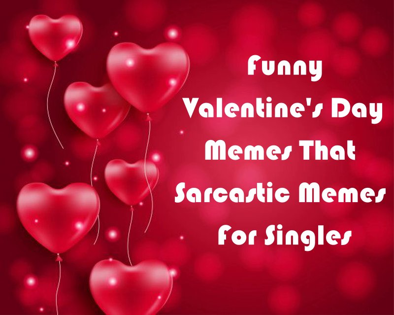 Funny Valentines Day Memes That Sarcastic Memes For Singles