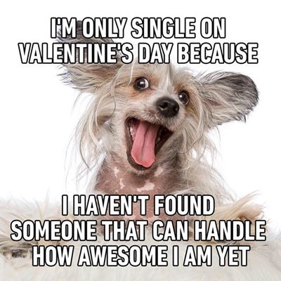 funny happy valentines day memes Funny Valentine Memes That Make You Laugh Be My Valentine Meme