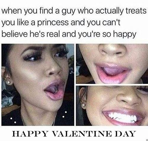 happy valentines day meme funny witty Funny Valentines Day Memes That Sarcastic Memes For Singles