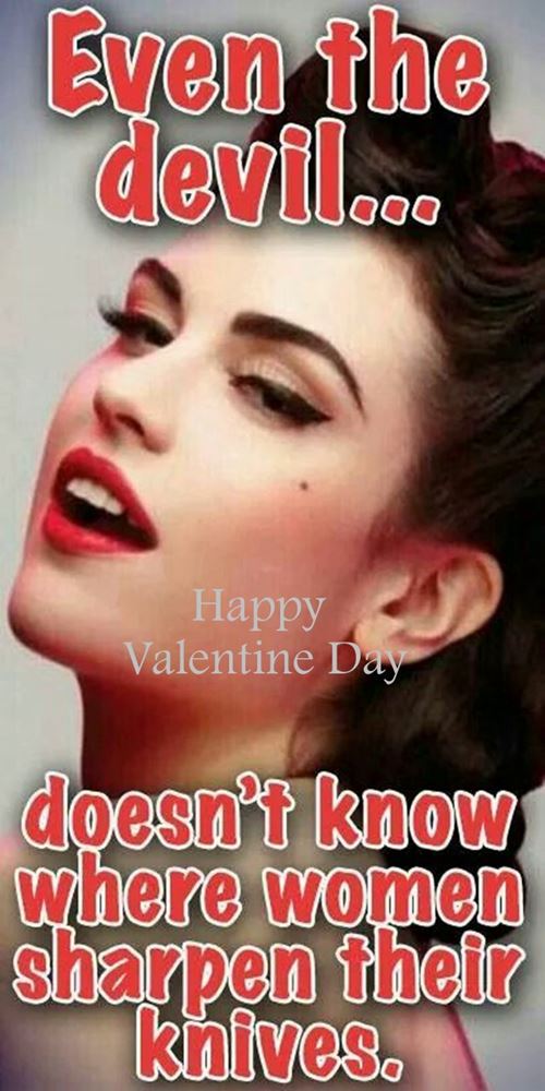 valentine days cat meme for hilarious Funny Valentines Day Memes That Sarcastic Memes For Singles