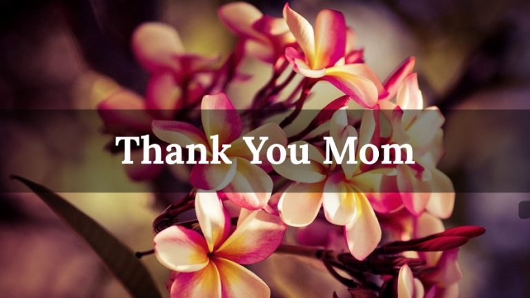 Thank You Mom Messages & Appreciated Quotes
