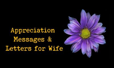 Appreciation Messages and Letters for Wife Appreciate Wife Quotes