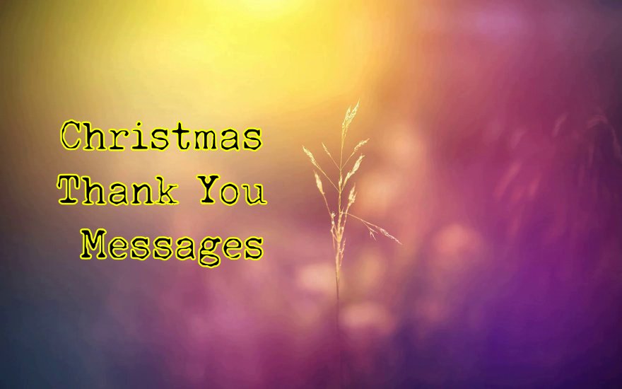 Christmas Thank You Messages Appreciation Quotes