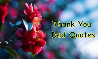 Thank You Dad Quotes Congratulations Messages