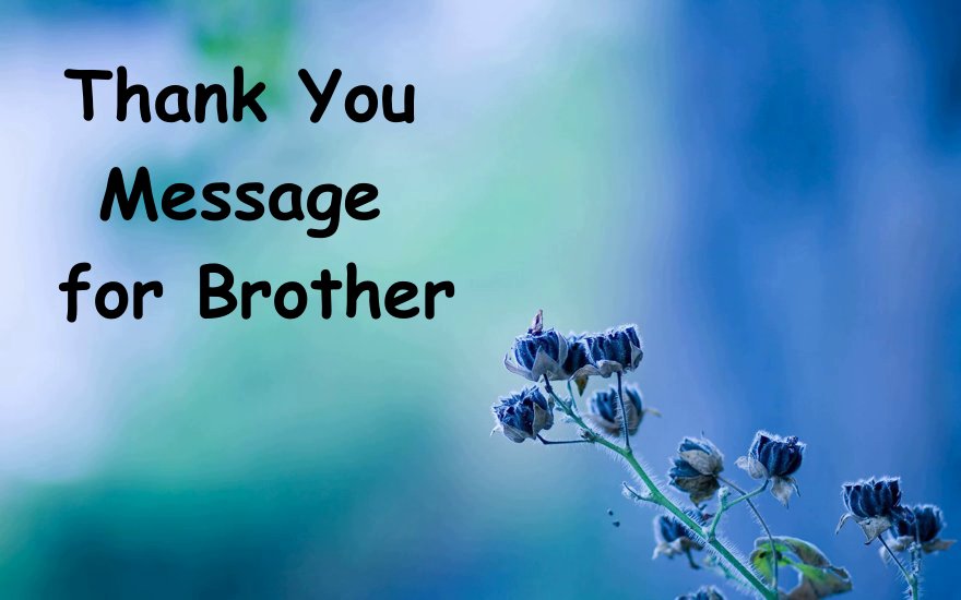 70 Thank You Messages For Brother WishesMsg, 56% OFF