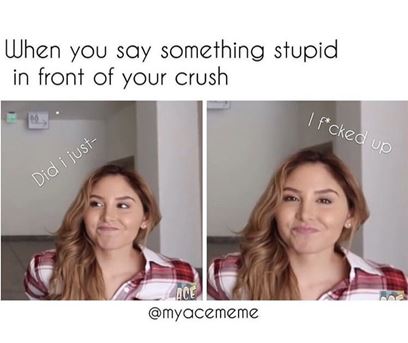 memes for your crush