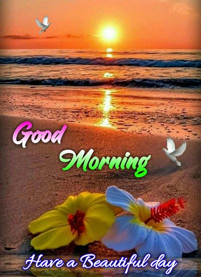 good morning messages pic and great day pic