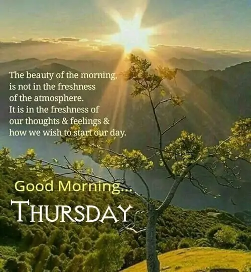 best good morning thursday images happy messages 5