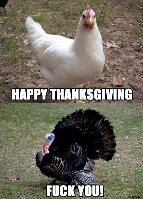 best thanksgiving memes wishes messages images 1