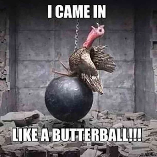 best thanksgiving memes wishes messages images 13