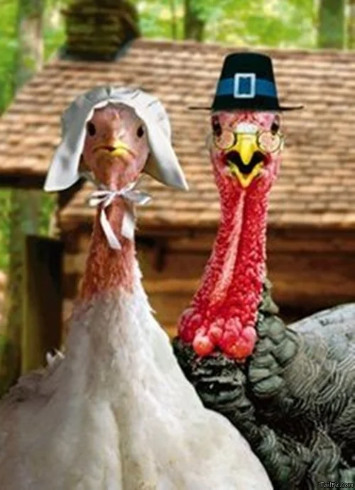 best thanksgiving memes wishes messages images 28