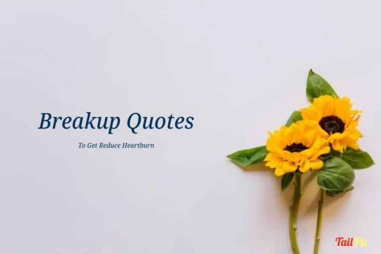 70 Uplifting Breakup Quotes To Get Reduce Heartburn