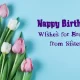 Heart Touching Birthday Wishes for Brother from Sister