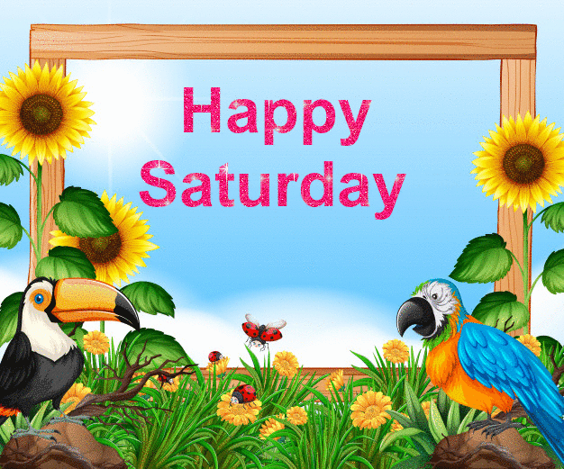 happy saturday drinking gif happy saturday drinking gif