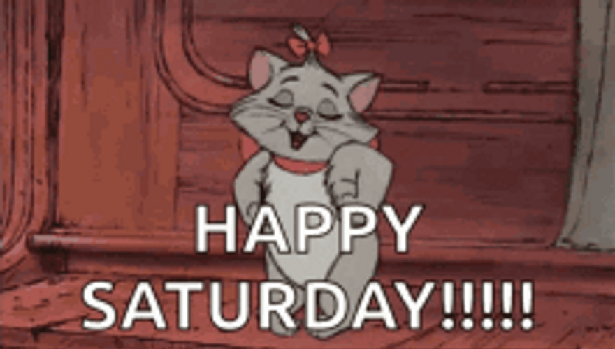 saturday gif cartoon saturday gif cartoon
