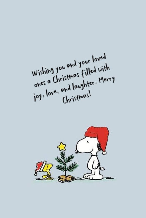 Belated merry christmas wishes for family funny