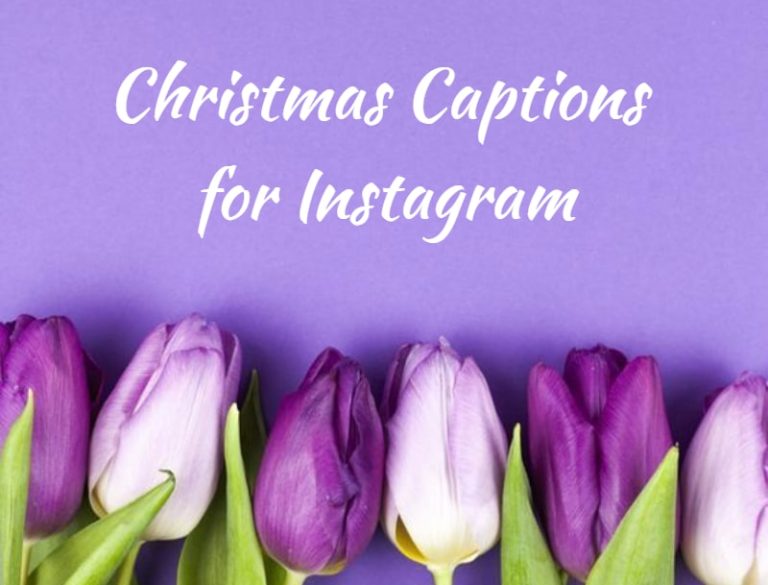 42 Christmas Captions for Instagram